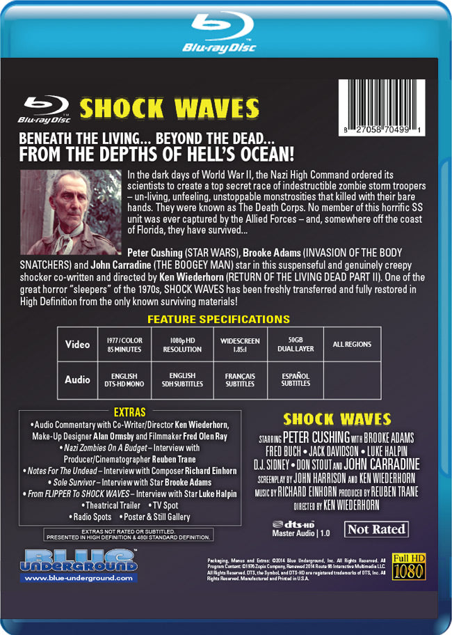 Shock Waves