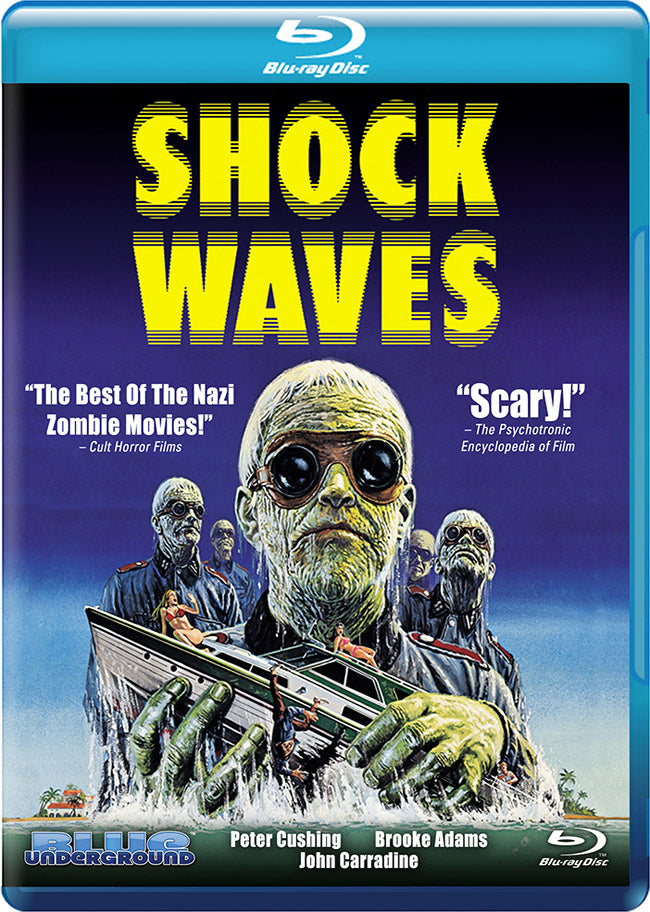 Shock Waves