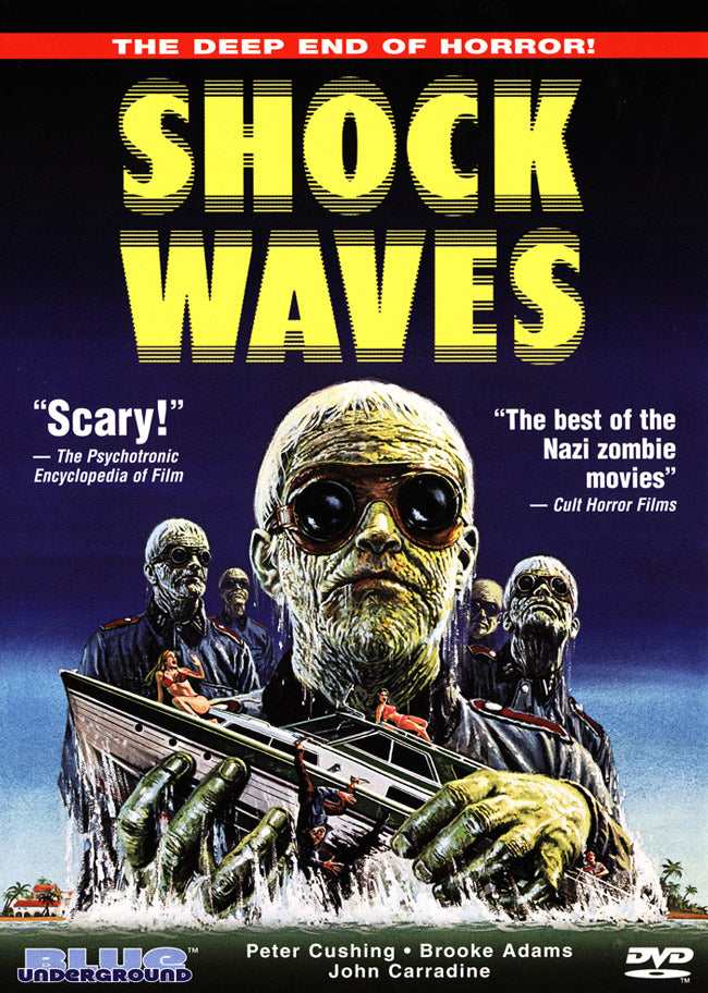 Shock Waves